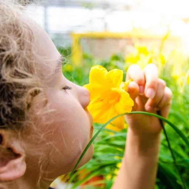 Symbolbild: Mädchen riecht an Blume