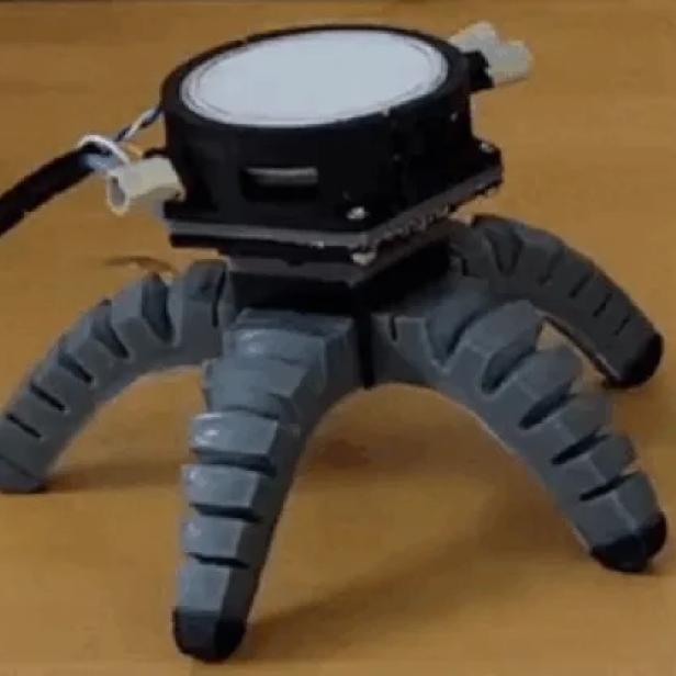 Bei einem Experiment steuerte das Myzel einen mehrbeinigen Roboter. 