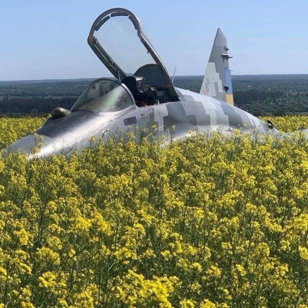 MiG-29 im Rapsfeld