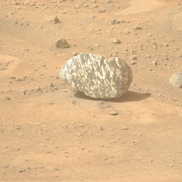 So ein Stein wurde auf dem Mars noch nie gesehen.