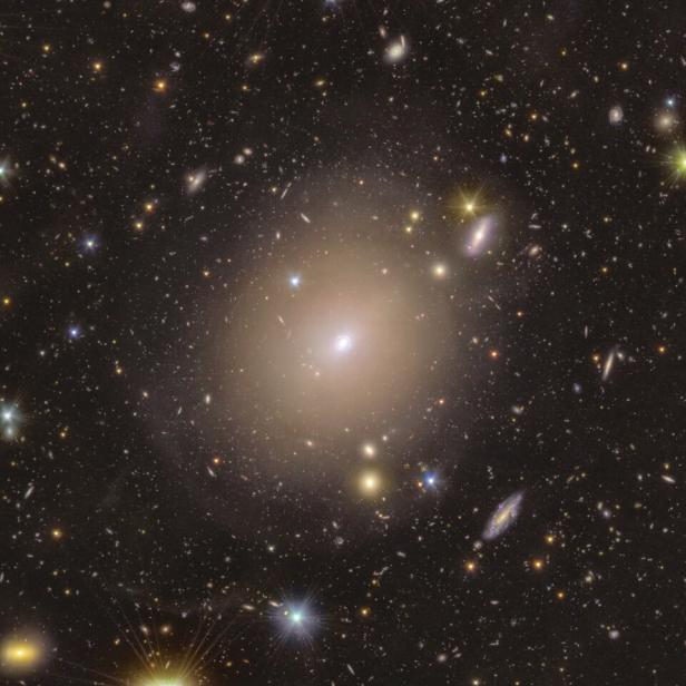 Euclid image of a bright Einstein ring around galaxy NGC 6505