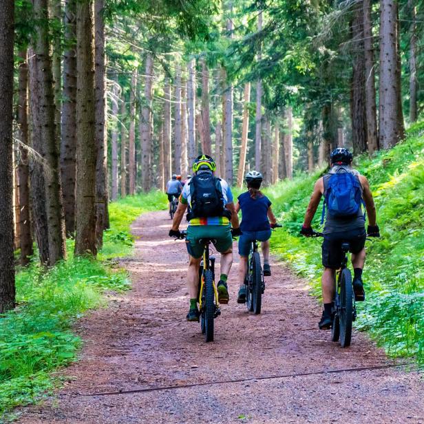 Mountainbikes kommen an Orte, wo andere Räder nicht hinkommen.