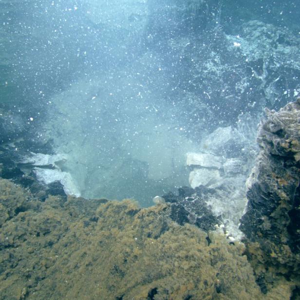 Ein hydrothermaler Schlot auf dem Axial Seamount.
