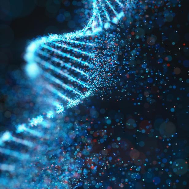 DNA-Struktur (Symbolbild)