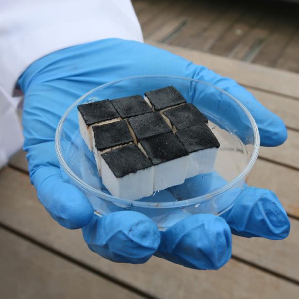 Die Solartechnologie, die Wasser erntet.