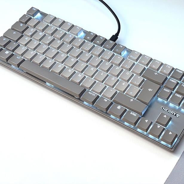 KC 500 MX LP (TKL)