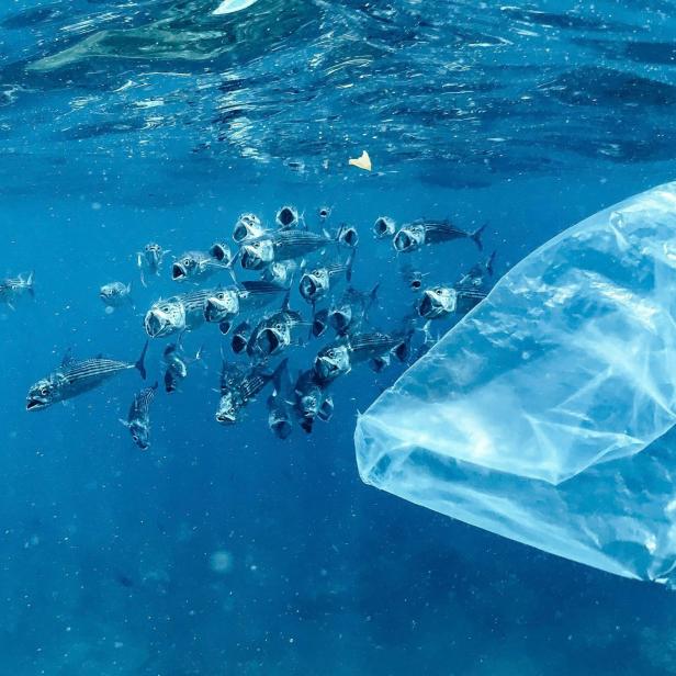 Symbolbild Plastik 
