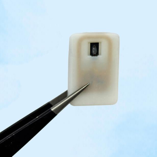 Das Implantat zur Glukagon-Abgabe 