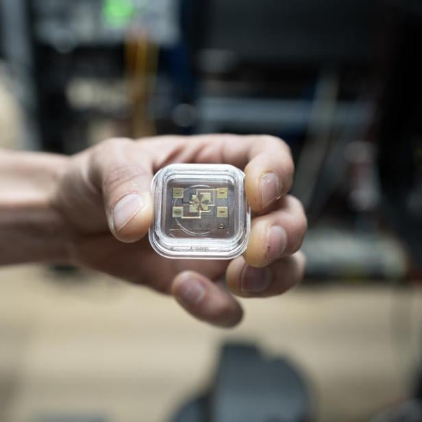 Eine Hand hält eine transparente Box, die mehrere goldene Rechtecke enthält