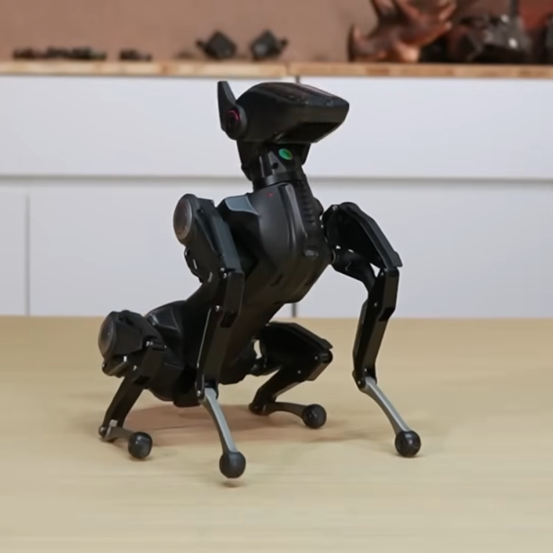 Sirius ist ein kleiner Roboterhund.
