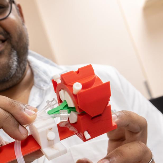 Ein Mann untersucht ein rot-weißes Modell eines „Augen-ECMOs“.