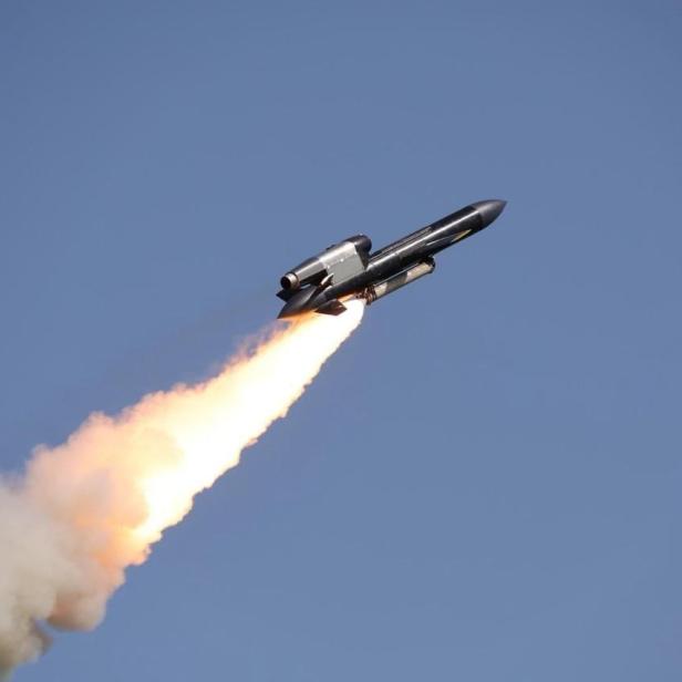 Flamingo bei einem Testflug.