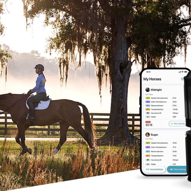 Das neue Tracking-Gerät von Garmin mit Pferd im Hintergrund.