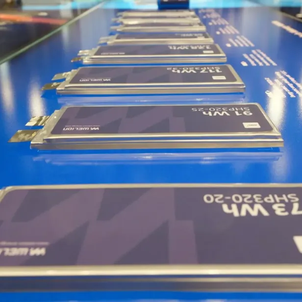 Semifestkörperzellen von Welion.