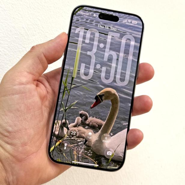 Ein iPhone zeigt ein Hintergrundbild mit einer Schwanenfamilie auf dem Sperrbildschirm.