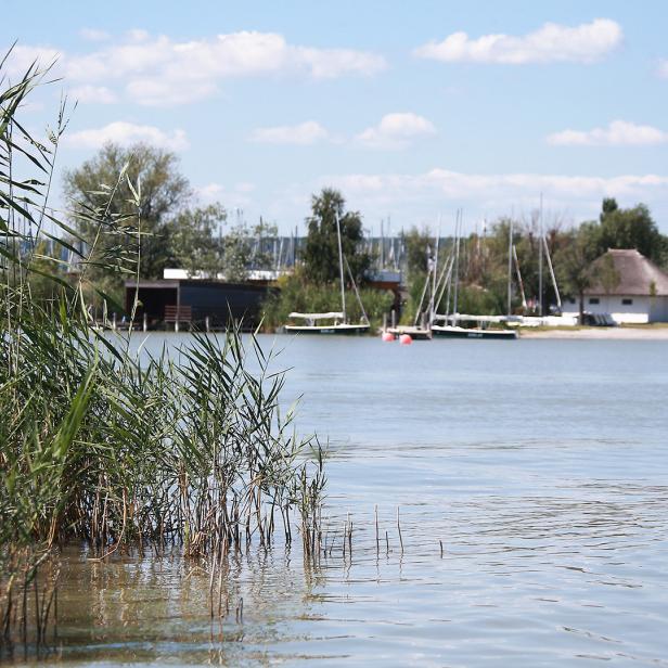Schilf wächst am Ufer eines Sees, im Hintergrund Boote und Häuser bei sonnigem Wetter.