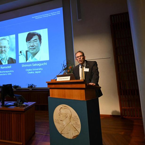Thomas Perlmann spricht vor einem Bildschirm, der Mary E. Brunkow, Fred Ramsdell und Shimon Sakaguchi zeigt.