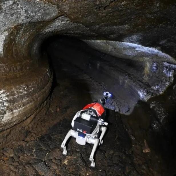 der Roboterhund in einer Höhle