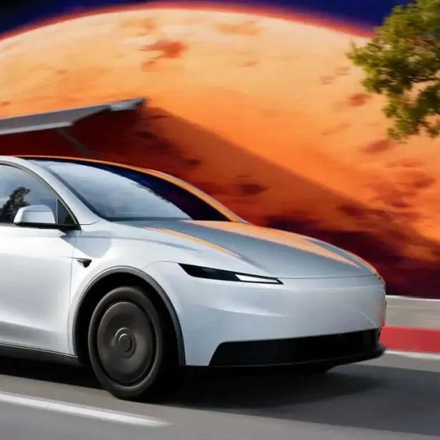 Das "Standard"-Model Y.