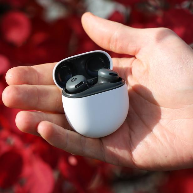 Eine Hand hält ein geöffnetes Ladecase mit Google Pixel Buds 2a vor roten Blättern.