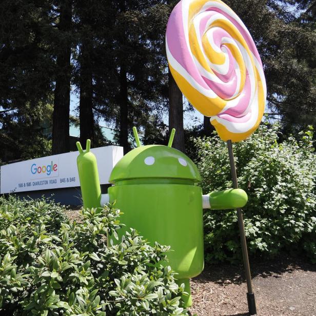 das Android-Maskottchen mit einem Lollipop zwischen Hecken