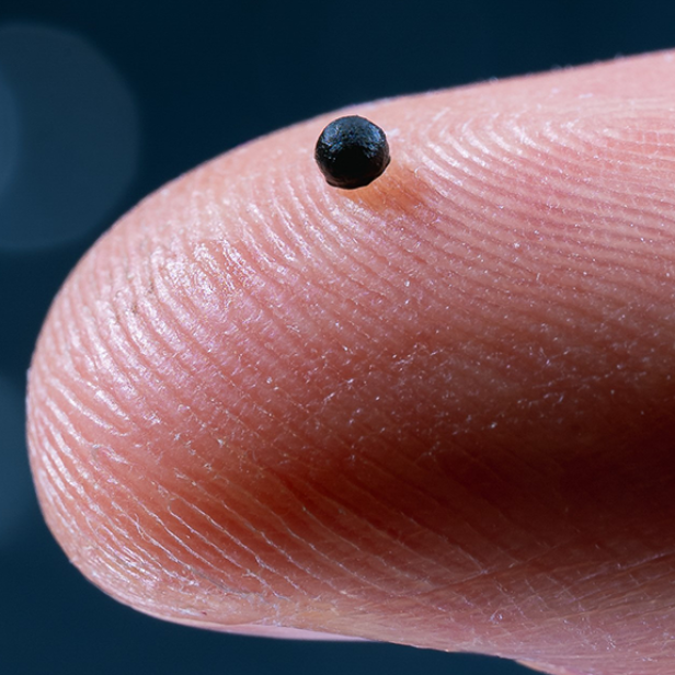 ein schwarzes Kügelchen auf der Fingerkuppe