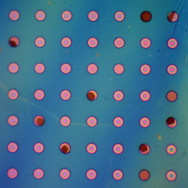 eine blau-grün-schimmernde Fläche mit gleichmäßigen rosa Punkten