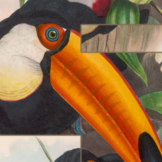 Art of Fauna - Screenshot