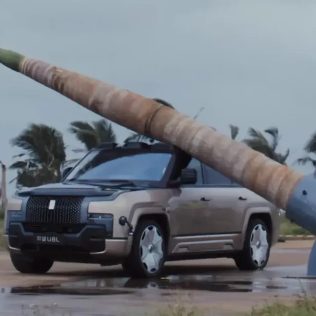 Man sieht, wie die Palme auf das Elektroauto fällt