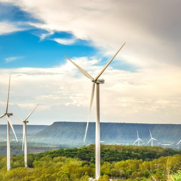 Windräder in einer grünen Landschaft 