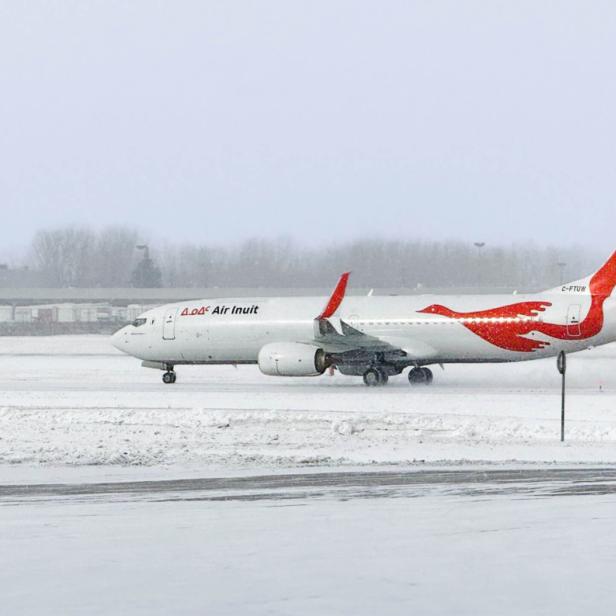 Boeing 737-800NG Combi 