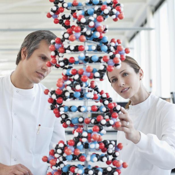 Zwei Wissenschaftler betrachten gemeinsam ein großes DNA-Modell in einem modernen Labor.