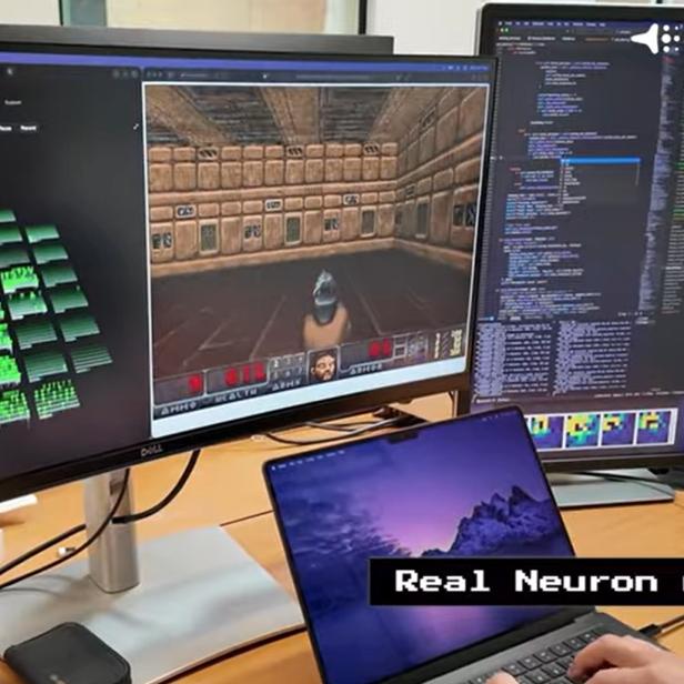 mehrere Bildschirme, auf denen Programmcode, Visualisierung und eine Szene aus DOOM zu sehen ist