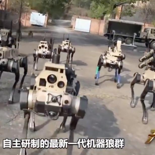 Mehrere vierbeinige, militärische Roboterhunde bewegen sich gemeinsam auf einem Hof.