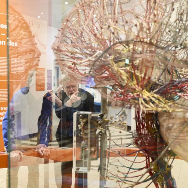 Das Elektronen-Gehirnmodell kann in der neuen TMW-Dauerausstellung "Wissenschaft im Wandel" besichtigt werden