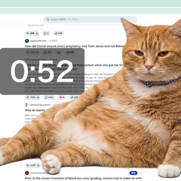 Cat Gatekeeper: Eine Katze macht sich vor einer Website breit und ein Timer wird links daneben eingeblendet. 