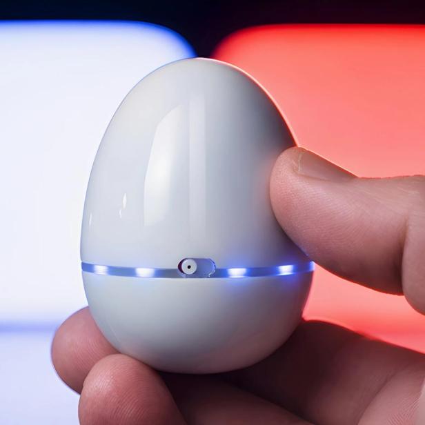 Eine Computermaus in Ei-Form