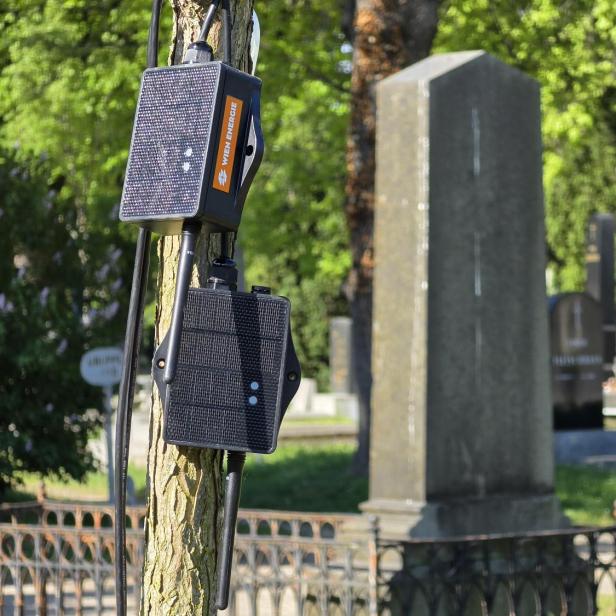 Sensorgeräte mit Solarpanels an einem Baum im Zentralfriedhof, im Hintergrund Grabsteine.