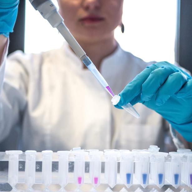 Eine Person im Labor pipettiert eine Flüssigkeit in ein Reagenzglas, umgeben von weiteren Probenröhrchen, was auf biotechnologische Forschung hinweist.