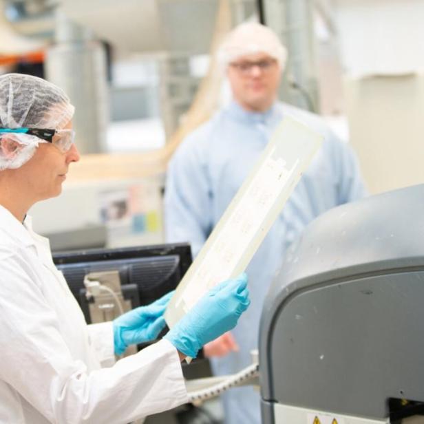 Teststreifen spüren Keime auf