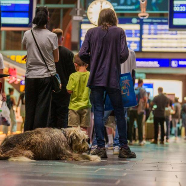 Deutsche Bahn stellt Zugverkehr ein