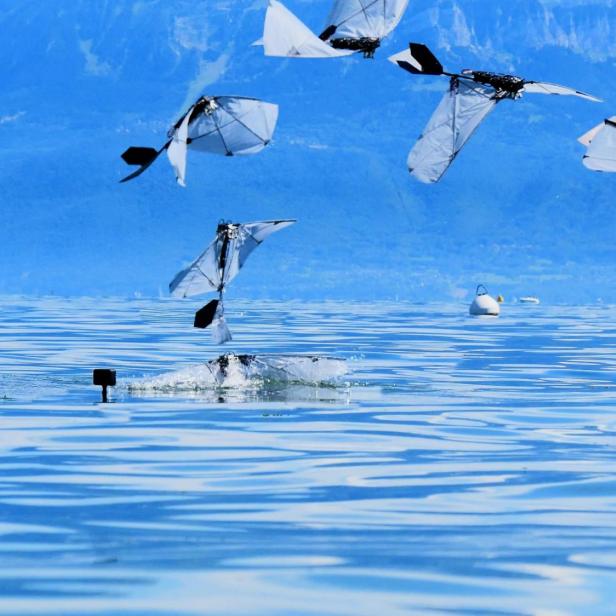 Mehrere flatternde Roboter über einem See, einer taucht ins Wasser.