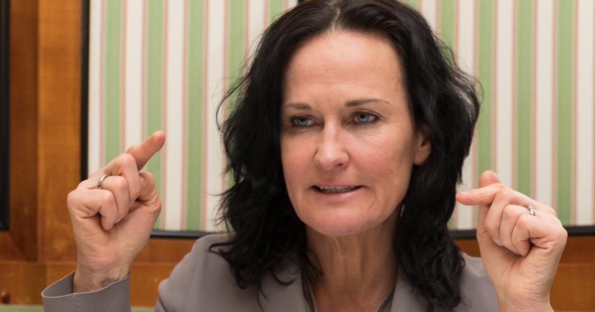 Fake News über Eva Glawischnig verbreitet: Schuldspruch