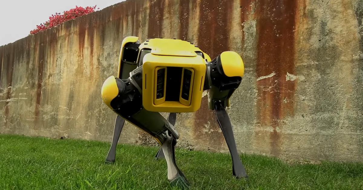 Hundeähnliche Roboter Spot Mini ziehen gemeinsam schweren Lkw