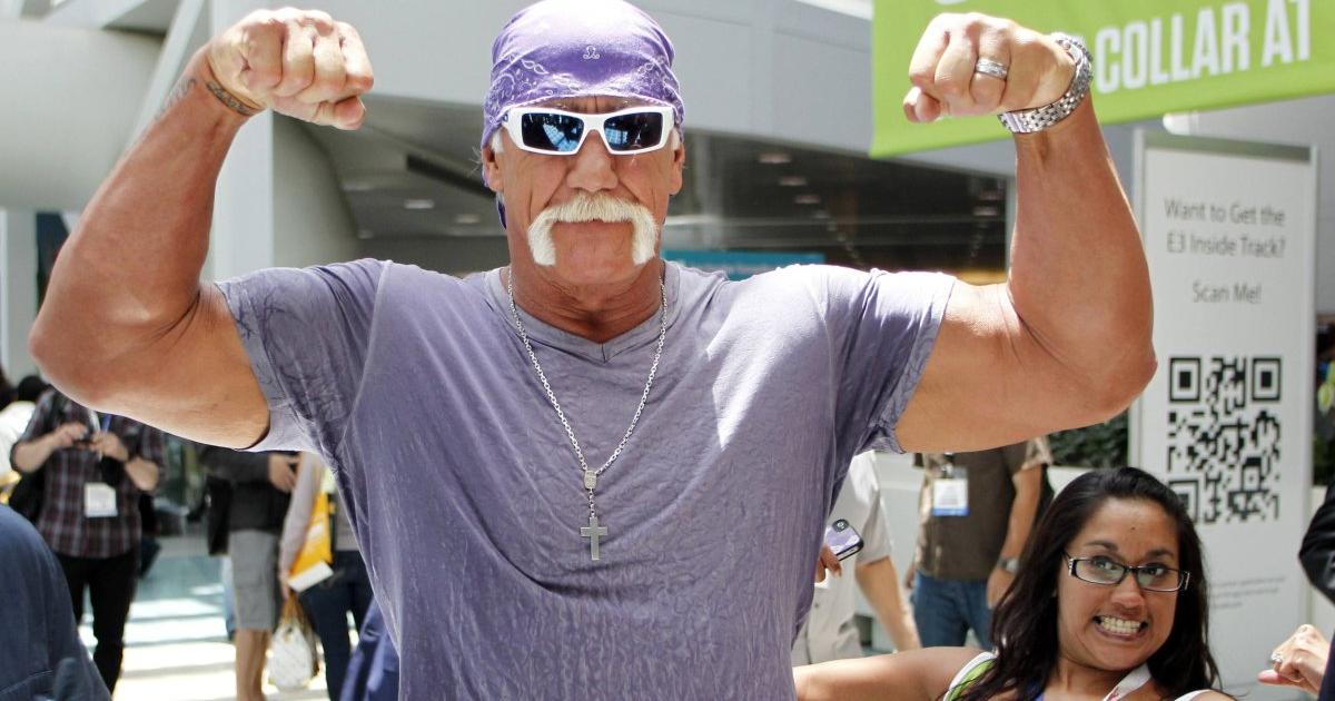 Hulk Hogan Rassismus Hulk Hogan Rassismus