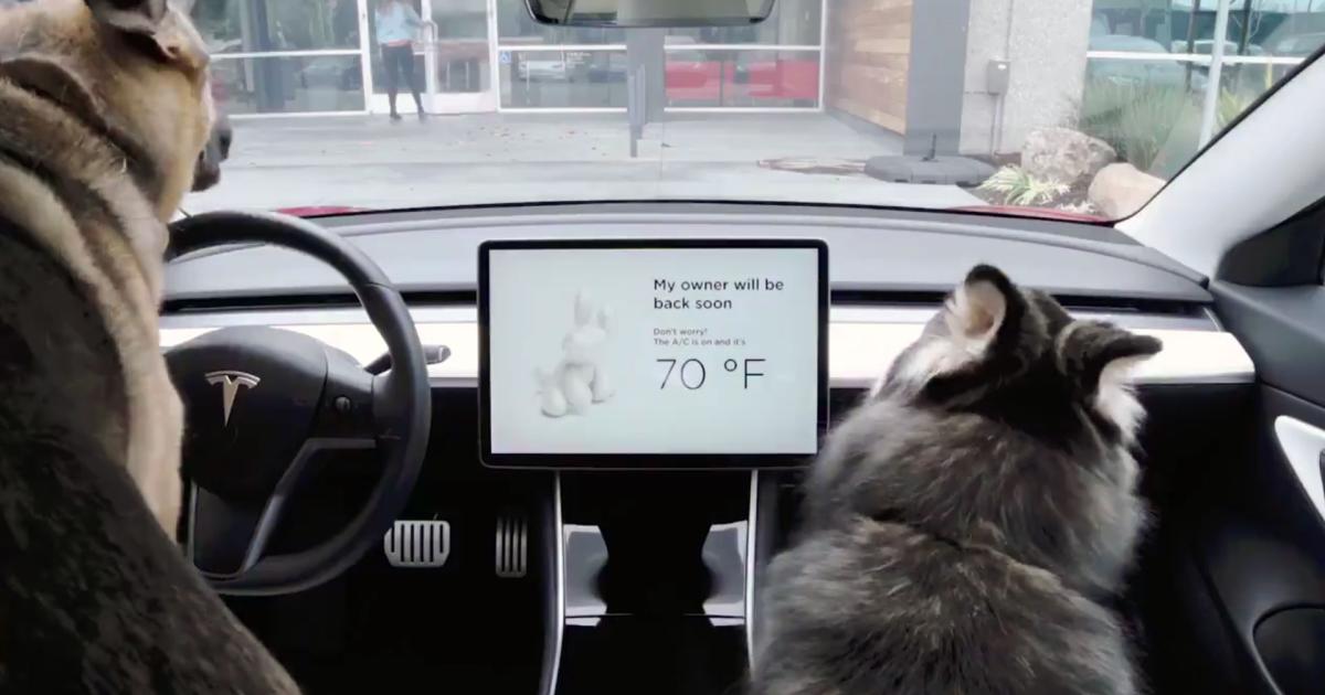Teslas schützen jetzt Hunde und beschallen Autodiebe