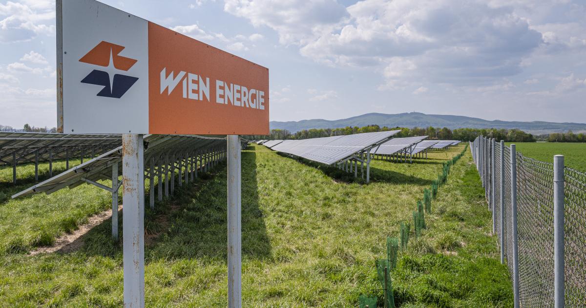 Wien Energie baut größte Photovoltaik Anlage Österreichs