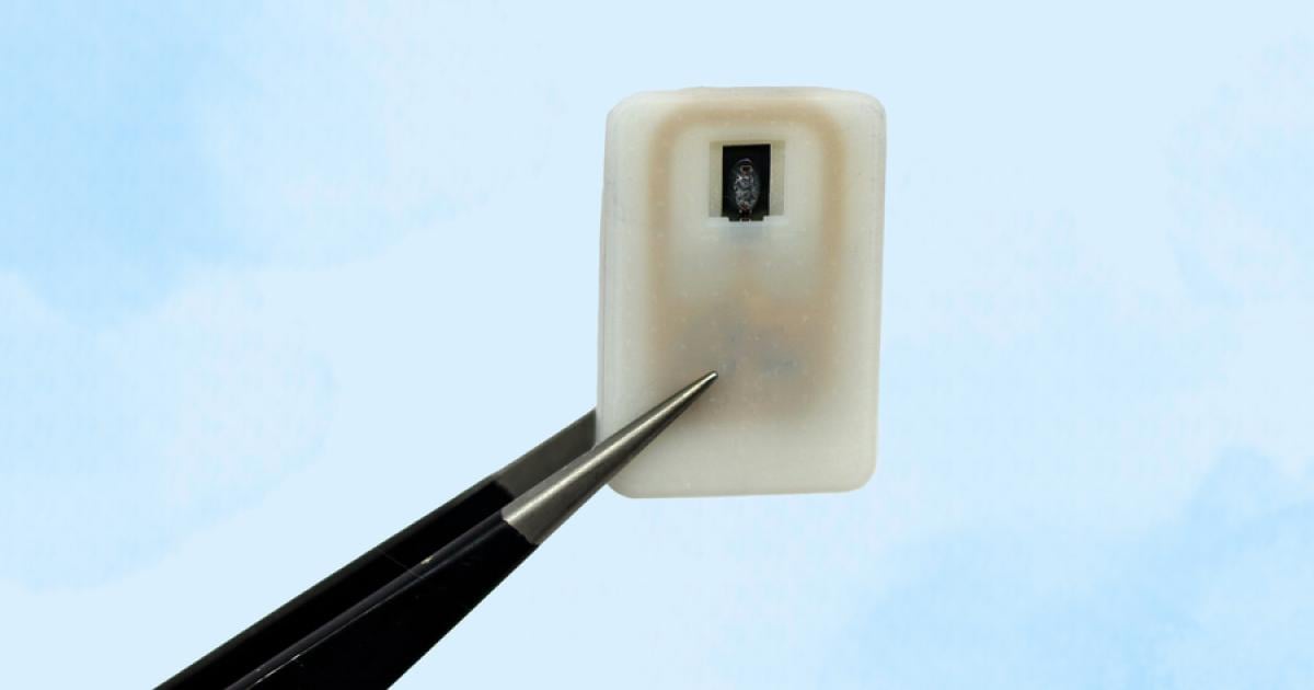 Implantat-kann-Diabetes-Patienten-vor-lebensgef-hrlicher-Hypo-retten