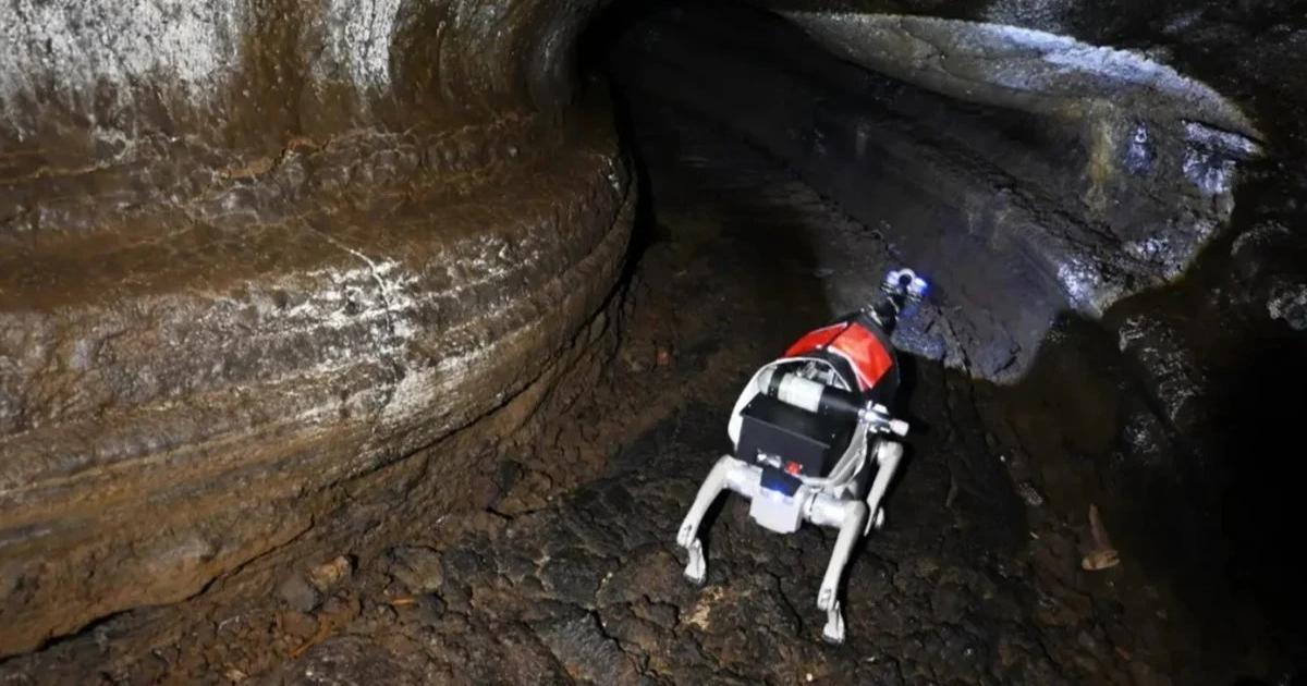 China-bereitet-Roboter-Hunde-auf-Mond-Mission-vor