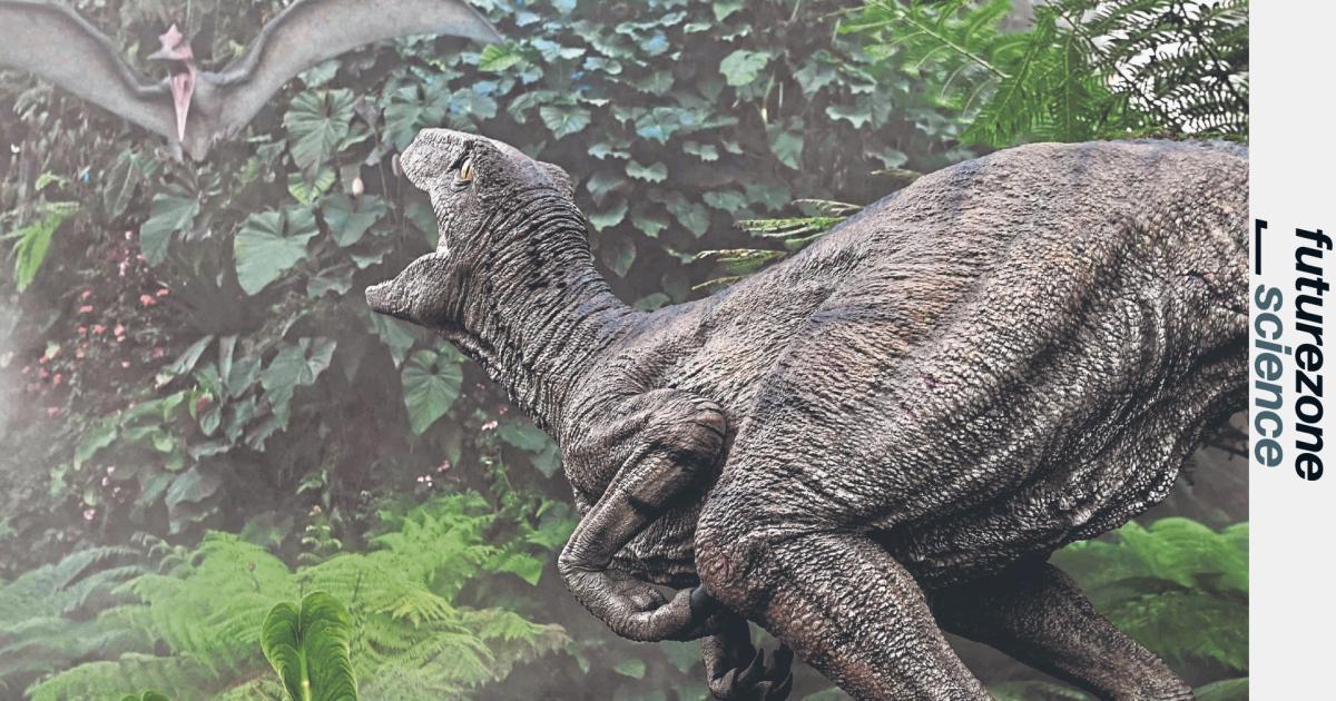 Kann-man-Dinosaurier-wieder-zum-Leben-erwecken-